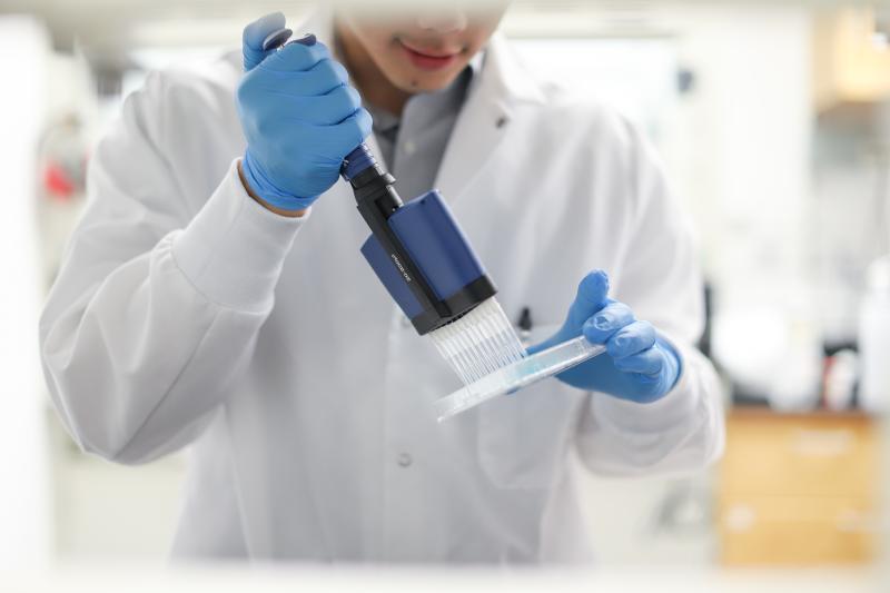 someone pipetting